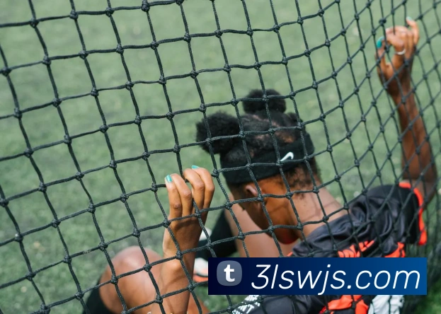 App Interface Preview