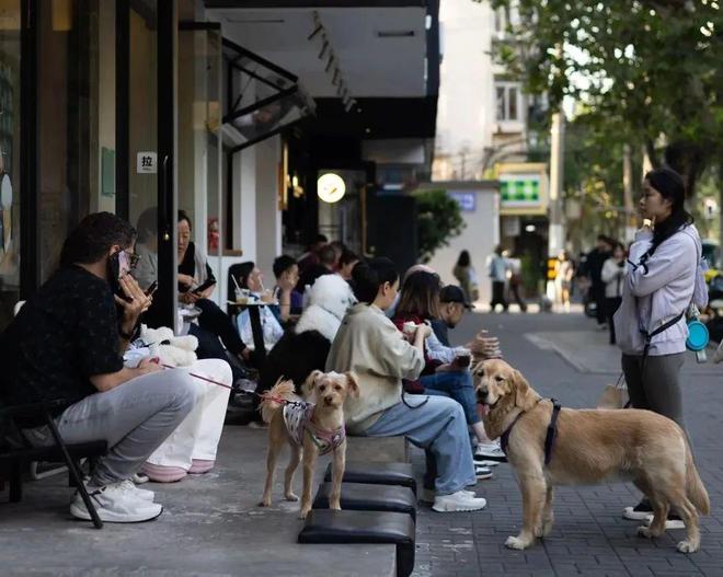 弃了双11爱上了“老年严选”凯发K8登录这届脆皮年轻人抛(图3)